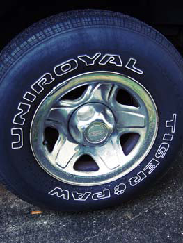 DSCF2767.jpg